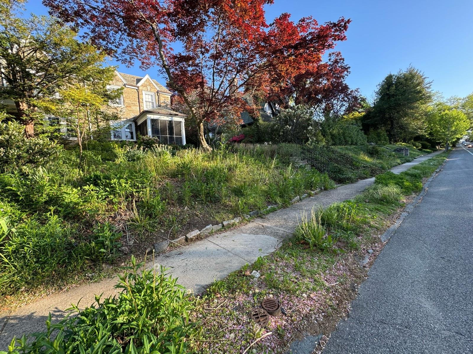 Yard cleanup work by Green Force Property Services